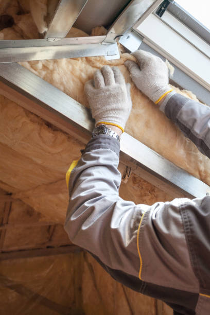 Best Specialized Insulation Services in Oak Forest, IL